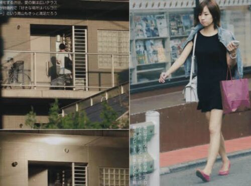 青山玲子が渋谷すばるのインスタ画像で嫁確定！現在は取締役で同棲中？