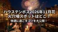 ハウステンボス2026年11月花火穴場スポットはどこ？快適に過ごすコツを大公開！