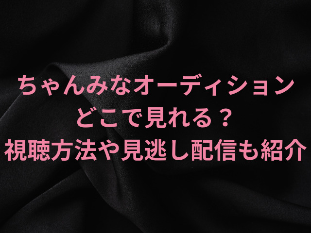 ちゃんみなオーディションはどこで見れる？視聴方法や見逃し配信も紹介！