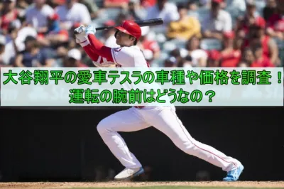 大谷翔平の愛車テスラの車種や価格を調査！運転の腕前はどうなの？