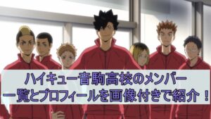 ハイキュー音駒高校のメンバー一覧とプロフィールを画像付きで紹介！