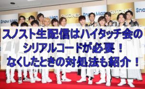 スノスト生配信はハイタッチ会のシリアルコードが必要！なくしたときの対処法も紹介！